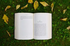 Főoldal-szexualpszichologia-párkapcsolati tanácsadó